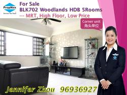 Blk 702 Woodlands Drive 40 (Woodlands), HDB 5 Rooms #138413692